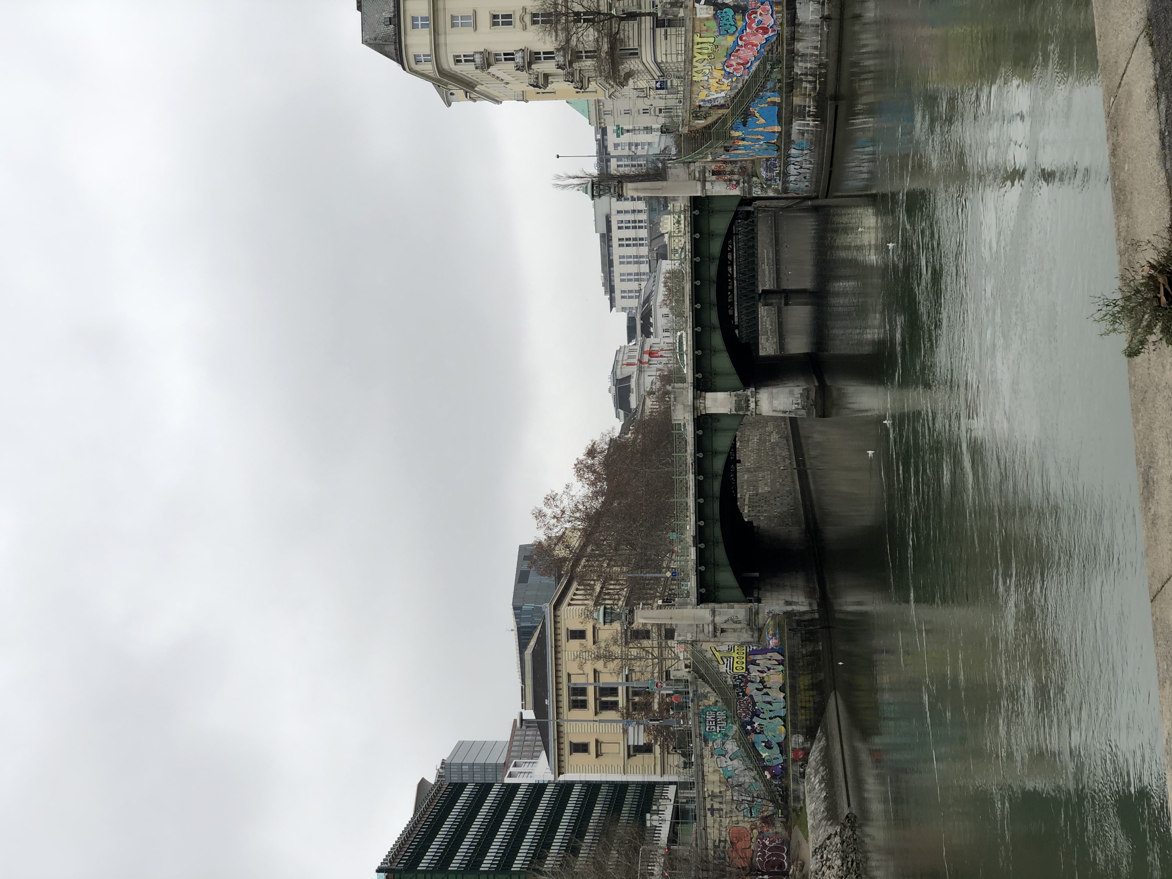 Viena